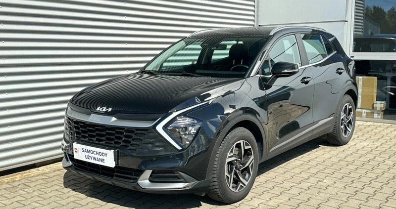 Kia Sportage cena 124900 przebieg: 40279, rok produkcji 2023 z Bierutów małe 254